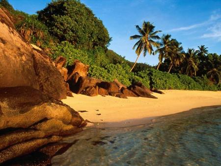 seul sur la plage